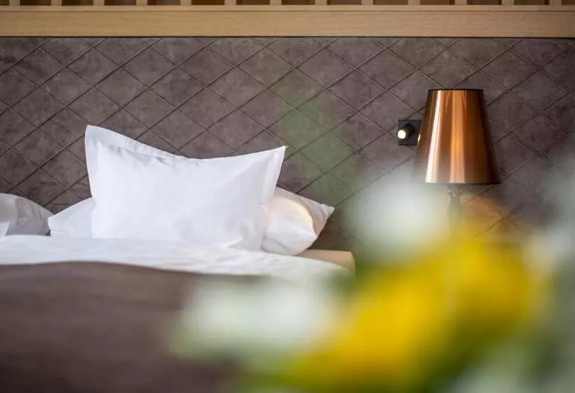 Отель Alpina Deluxe