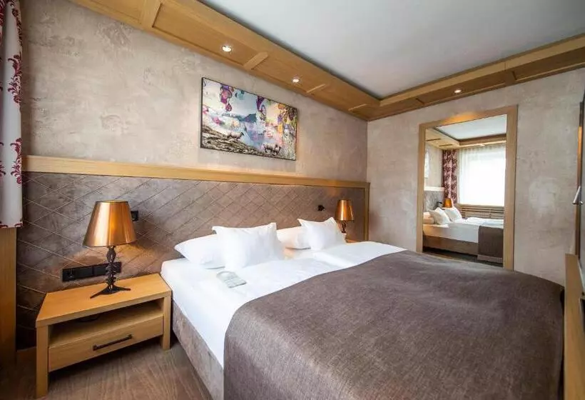 Отель Alpina Deluxe