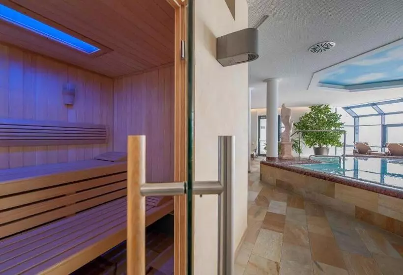 Отель Alpina Deluxe