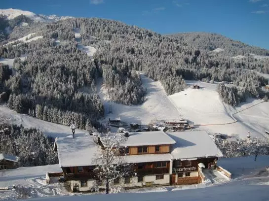 Bauernhof Vorderaltensberg