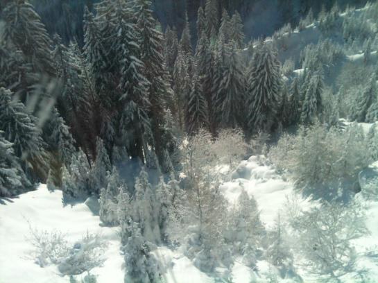 Bauernhof Vorderaltensberg