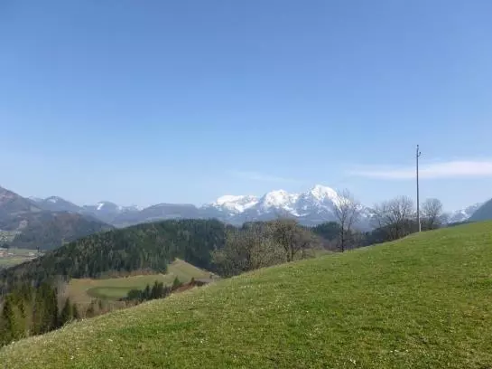 Bauernhof Waldbauer