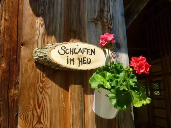 Bauernhof Waldbauer