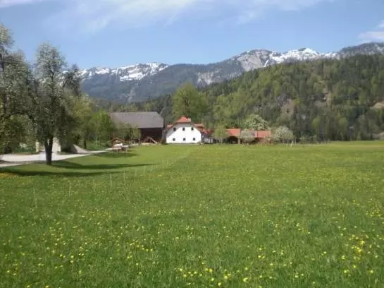 Bauernhof Waldbauer
