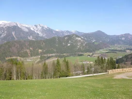 Bauernhof Waldbauer