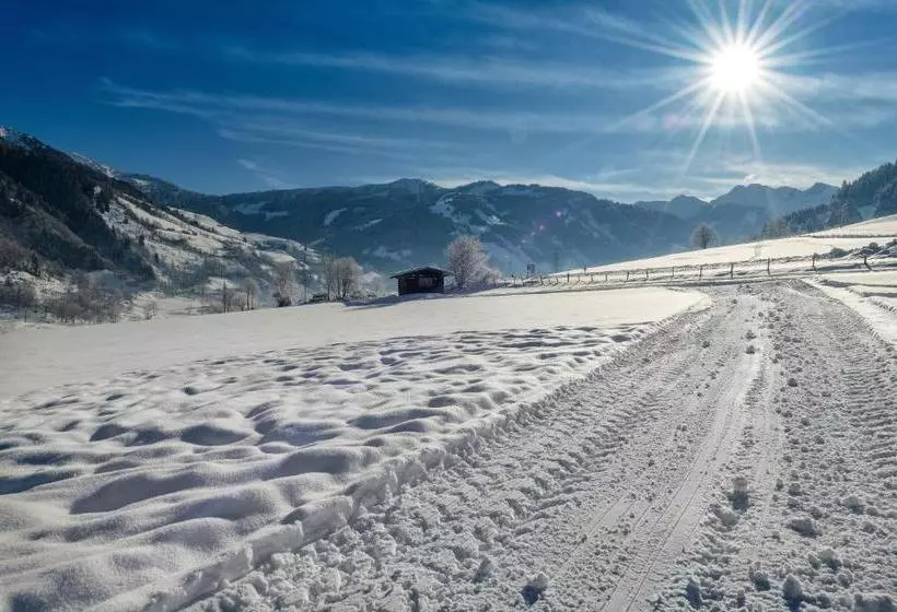 호텔 Die Unterbergerin