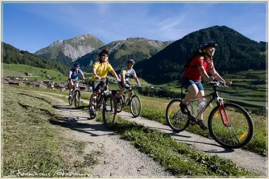 酒店 Ferienhaus Alpina