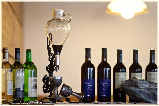 酒店 Ferienhaus Alpina