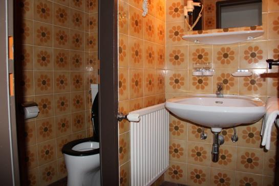 膳宿费 Gasthof Zum Goldenen Löwen