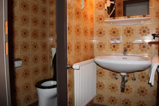 Pensionat Gasthof Zum Goldenen Löwen