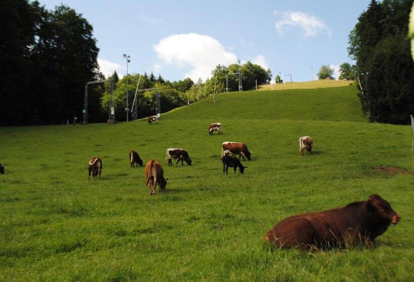 Отель Gasthofladen Schneeweiss
