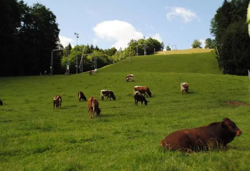 فندق Gasthofladen Schneeweiss