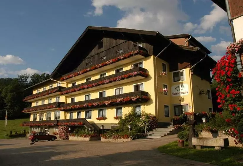 فندق Gasthofladen Schneeweiss
