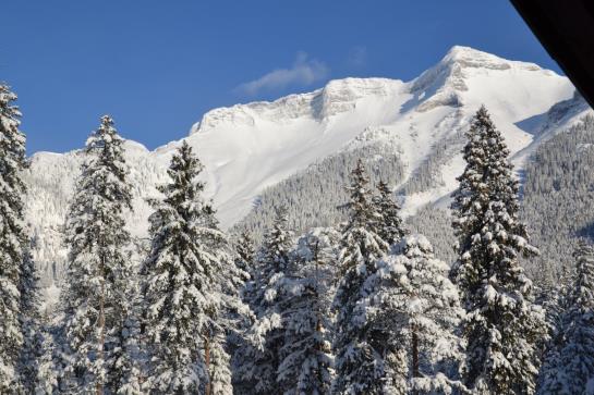 Отель Haus Waldhäusl