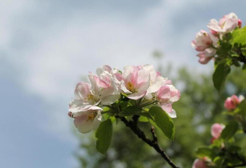 호텔 Hochsteg Gütl | Traunsee Salzkammergut