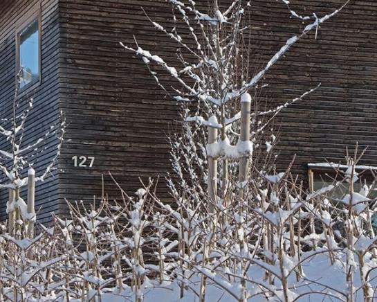 Отель Jotvier...