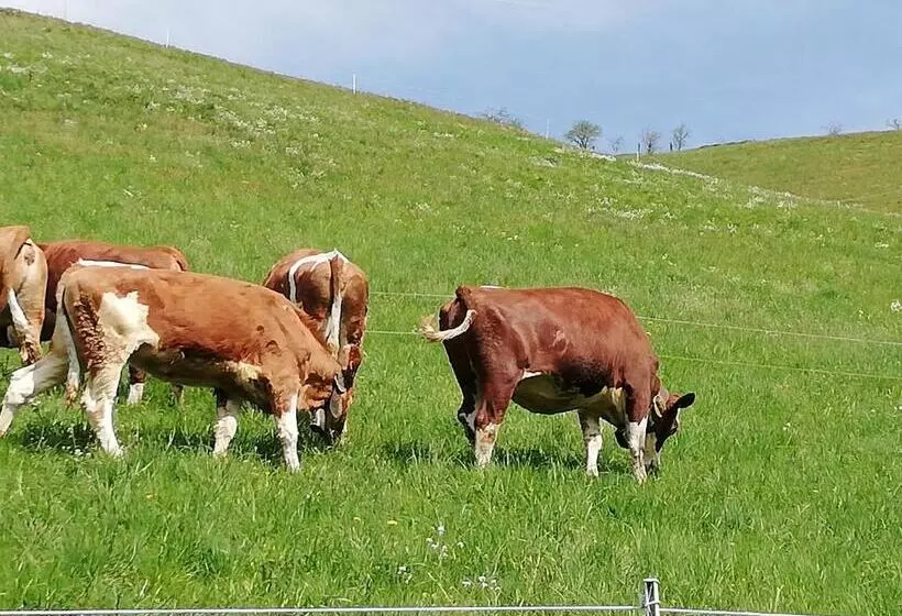 Отель Lamplhof B&b