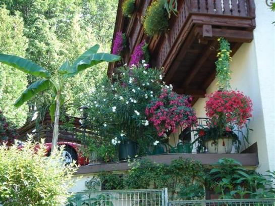 Отель Gästehaus Maier