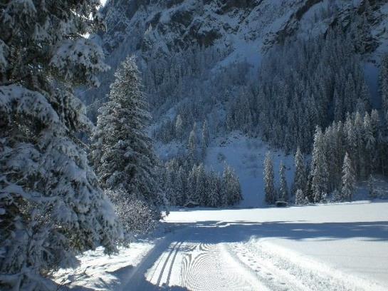 Hotelli Melmer Florian