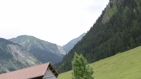تختخواب و صبحانه Pension Müller