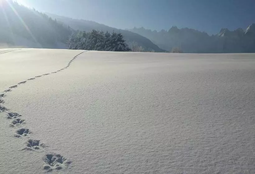 酒店 Restaurant Gosauerhof