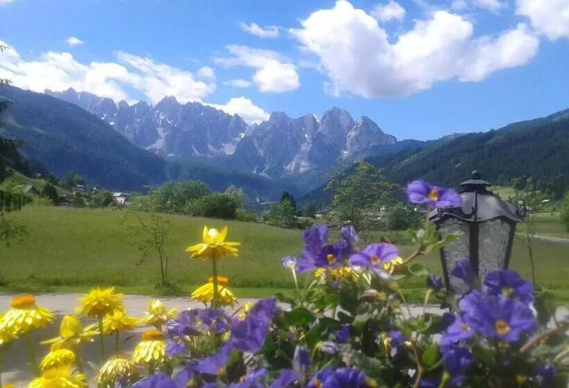 酒店 Restaurant Gosauerhof