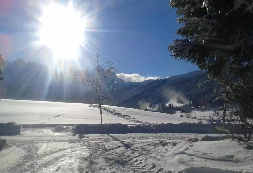 酒店 Restaurant Gosauerhof