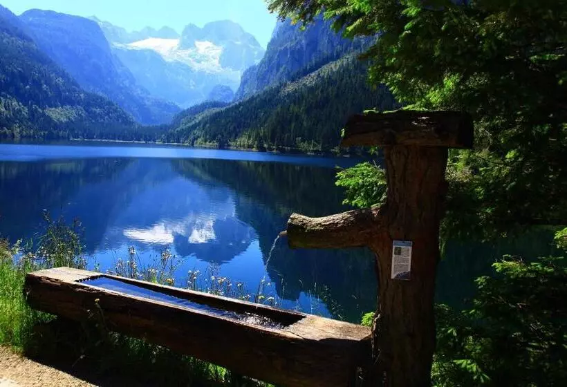 酒店 Restaurant Gosauerhof