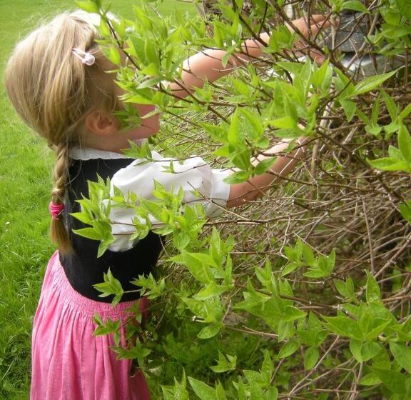 בית מלון כפרי Restaurant Gosauerhof