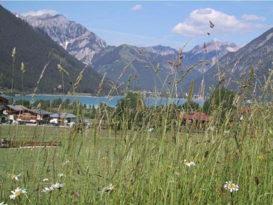 בית מלון כפרי Wachhof