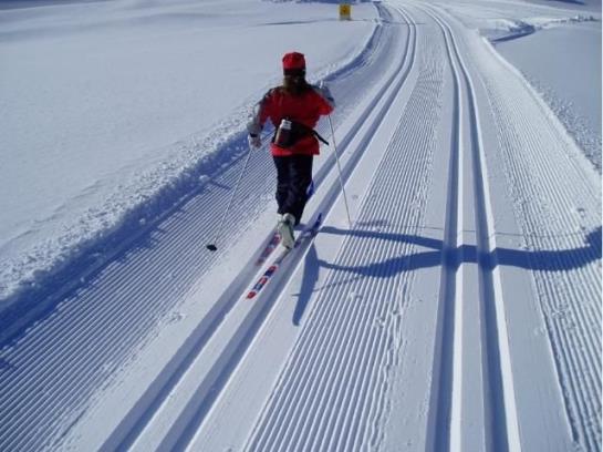 בית מלון כפרי Wachhof