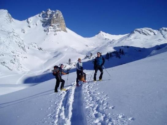 בית מלון כפרי Wachhof