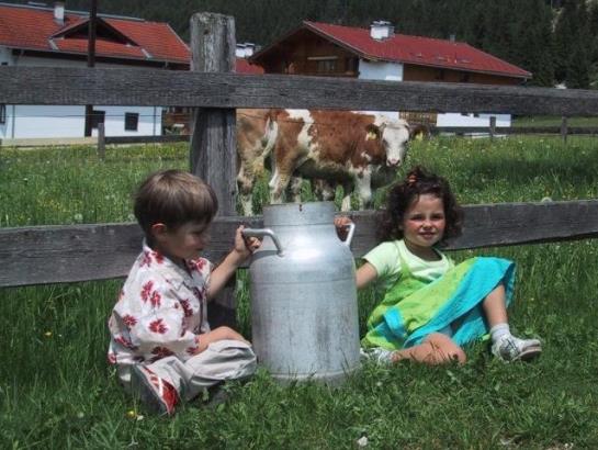 בית מלון כפרי Wachhof