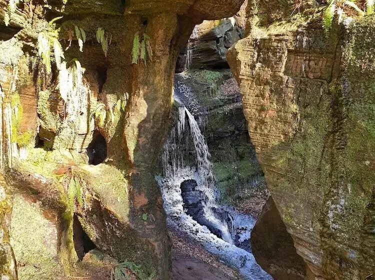 Cosy Wood Cabin In Rural Area Near National Park