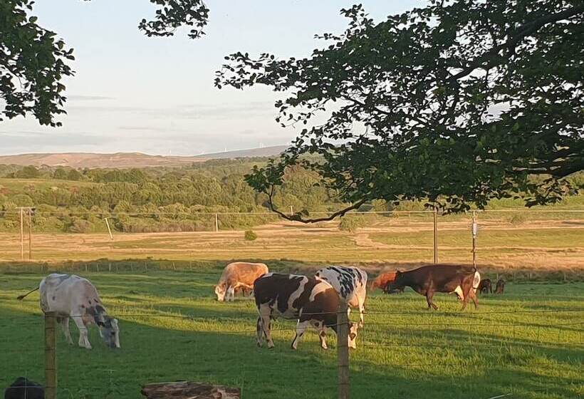 Cosy Wood Cabin In Rural Area Near National Park