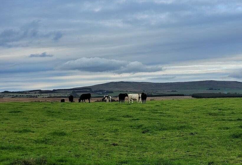 Cosy Wood Cabin In Rural Area Near National Park