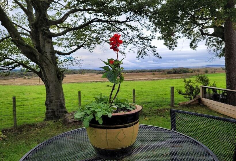 Cosy Wood Cabin In Rural Area Near National Park