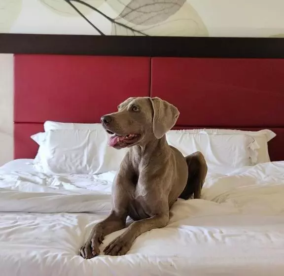 ホテル Griso Collection