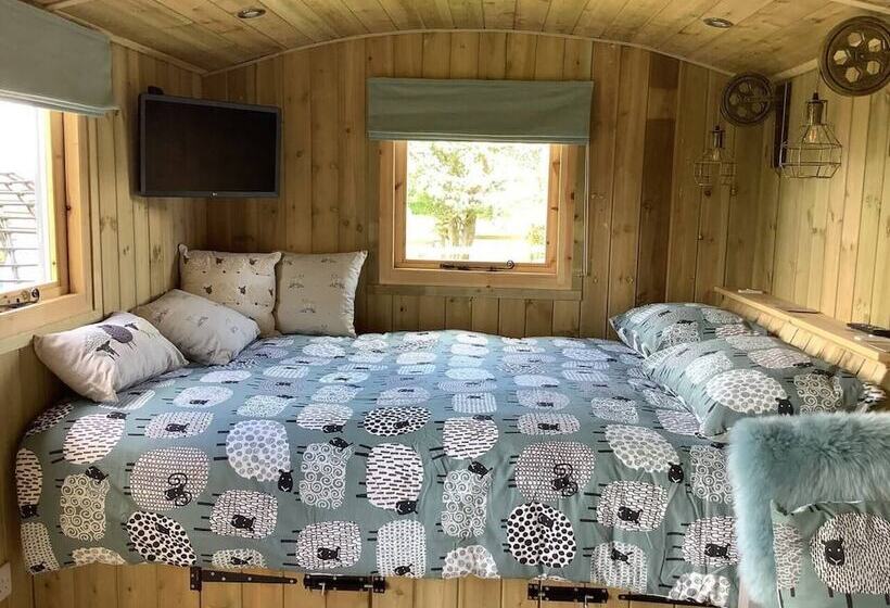 The Shepherds Hut At Hafoty Boeth