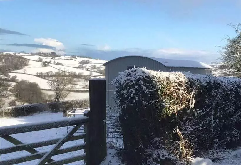 The Shepherds Hut At Hafoty Boeth