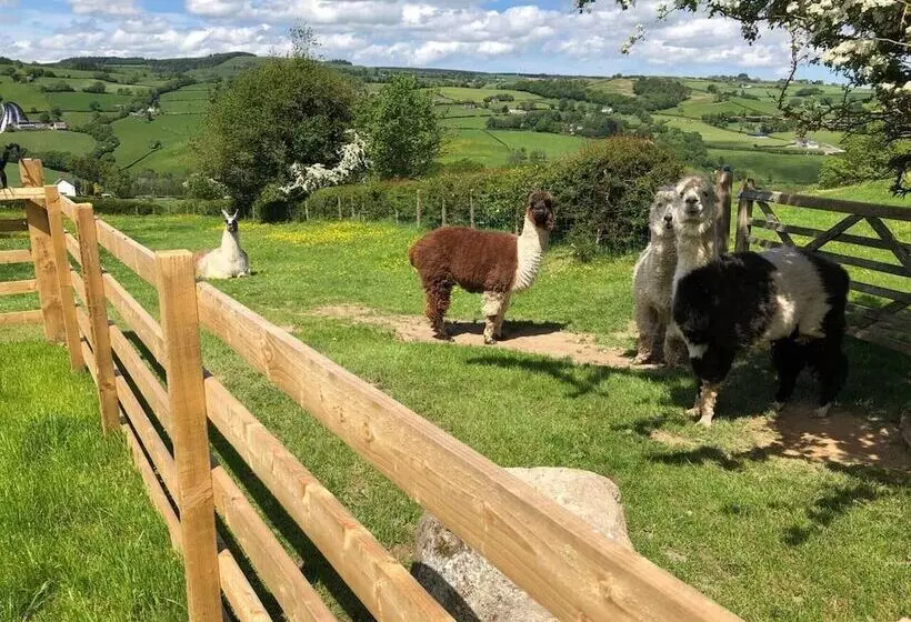 The Shepherds Hut At Hafoty Boeth