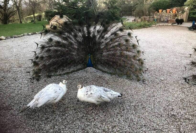 The Shepherds Hut At Hafoty Boeth