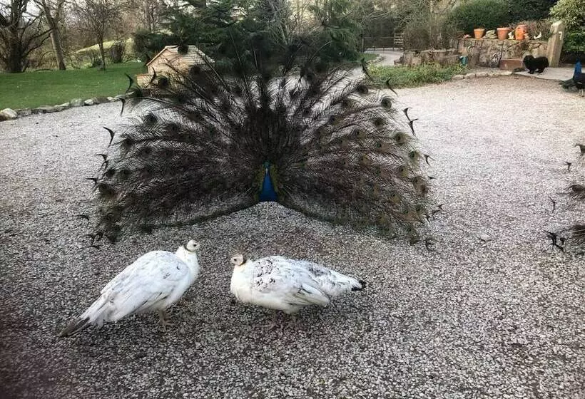 The Shepherds Hut At Hafoty Boeth