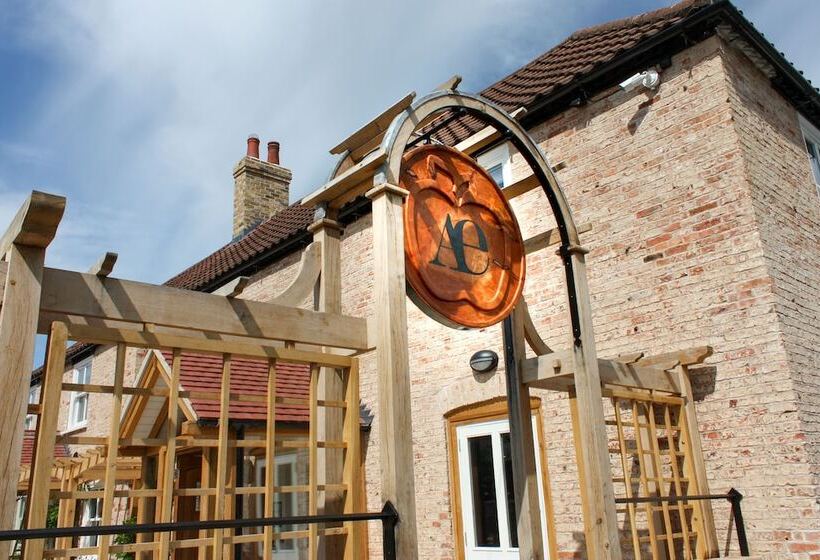 ホテル The Adam & Eve