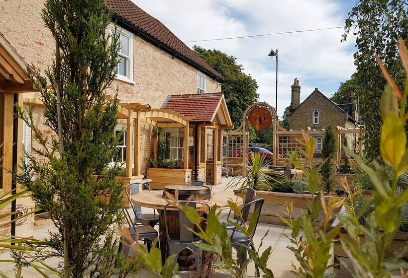 ホテル The Adam & Eve