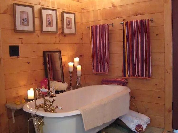 Smoky Mountain Lake View Cabin Bristol Tn