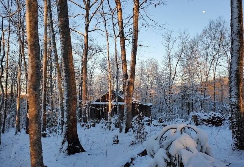 Smoky Mountain Lake View Cabin Bristol Tn