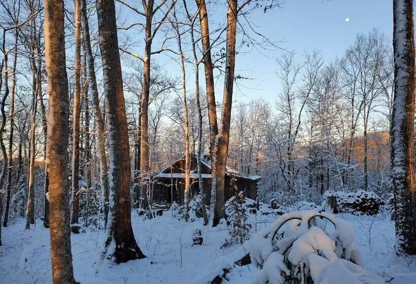 Smoky Mountain Lake View Cabin Bristol Tn