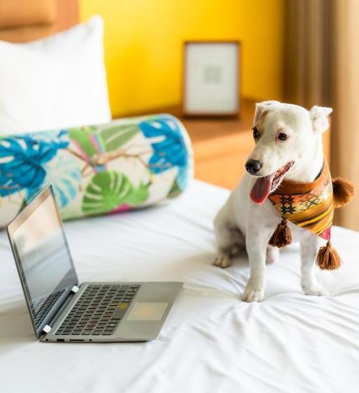 호텔 Albatros By Bedsfriends