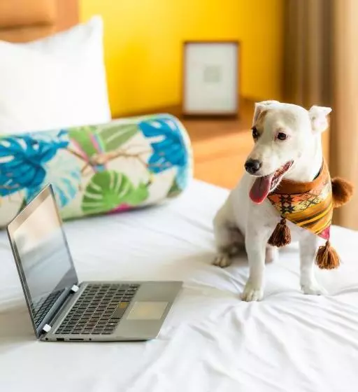 ホテル Albatros By Bedsfriends